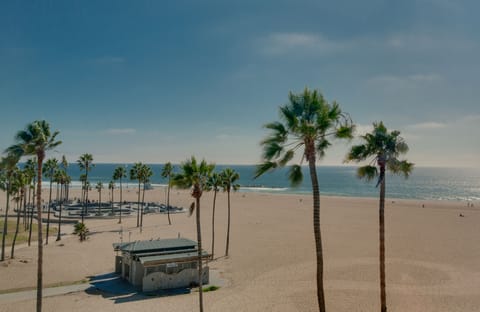 On the beach