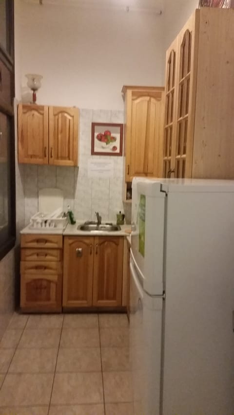 Double or Twin Room | Private kitchen | Fridge, microwave, cookware/dishes/utensils