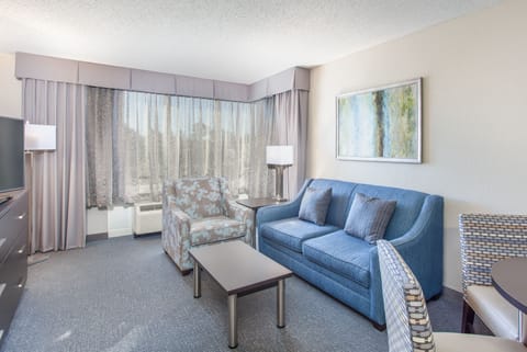 Suite, 1 Bedroom (Living Area) | In-room safe, desk, blackout drapes, soundproofing