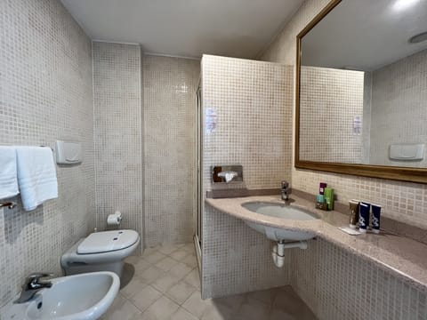 Superior Double Room | Bathroom | Combined shower/tub, free toiletries, hair dryer, bidet