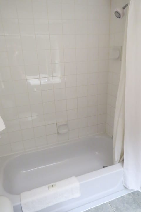 Combined shower/tub, free toiletries, hair dryer, towels