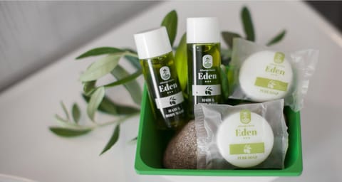 Shower, free toiletries, hair dryer, bidet