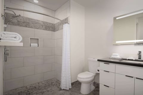 Suite, 2 Queen Beds, Non Smoking | Bathroom shower