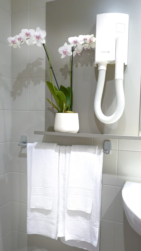 Combined shower/tub, free toiletries, towels