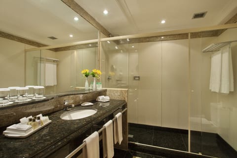 Designer toiletries, hair dryer, bidet, towels