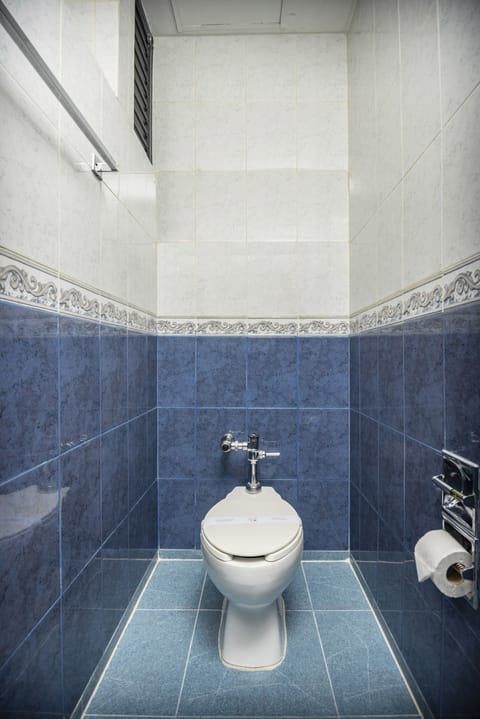 Economy Room | Bathroom | Shower, free toiletries, hair dryer, towels