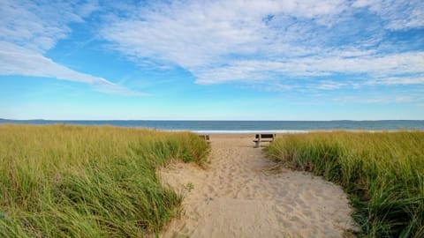 On the beach