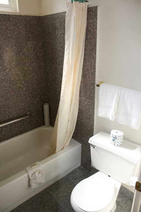Combined shower/tub, free toiletries, hair dryer, towels