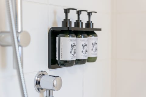 Eco-friendly toiletries, hair dryer, towels, soap