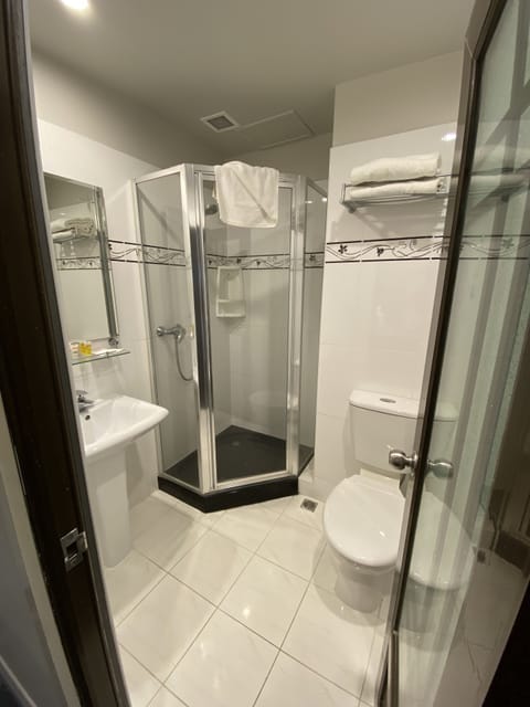 Deluxe Double Room | Bathroom | Shower, free toiletries, hair dryer, towels