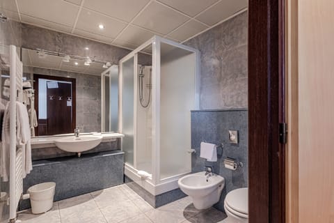 Shower, free toiletries, hair dryer, bidet