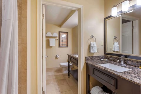 Executive Suite, 1 King Bed, Non Smoking, Jetted Tub | Bathroom | Combined shower/tub, free toiletries, hair dryer, towels