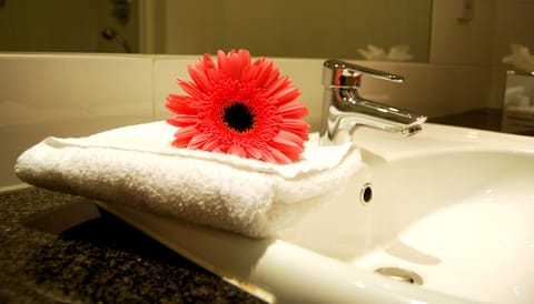 Combined shower/tub, eco-friendly toiletries, hair dryer, towels