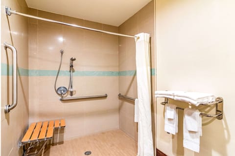 Standard Room, 1 King Bed, Accessible, Non Smoking (Roll-In Shower) | Bathroom | Shower, hair dryer, towels