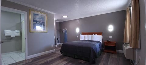 Room, 1 Queen Bed, Accessible, Non Smoking | Desk, blackout drapes, iron/ironing board, free WiFi