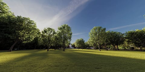 Land view from property