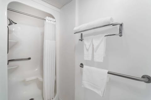 Room, Accessible, Non Smoking | Bathroom shower