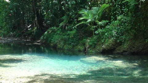 Beach nearby, white sand