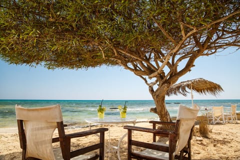 Private beach, sun loungers, beach umbrellas, beach towels