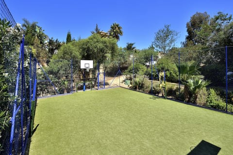 Basketball court