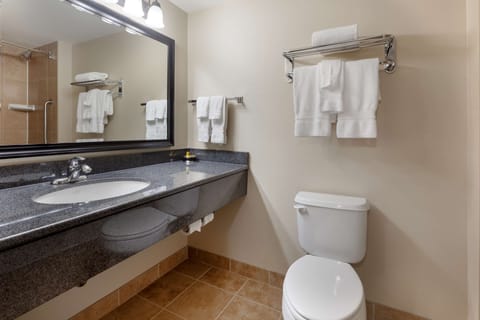 Standard Room, 1 King Bed, Non Smoking | Bathroom | Free toiletries, hair dryer, towels