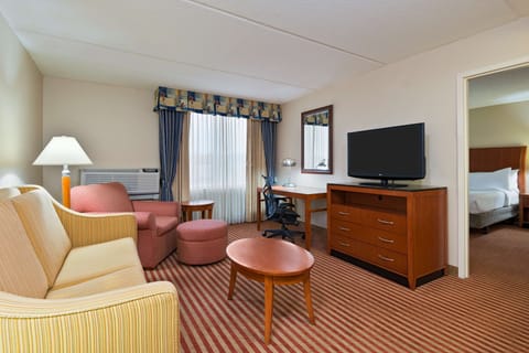 Suite, Accessible | Living area | LCD TV, video-game console