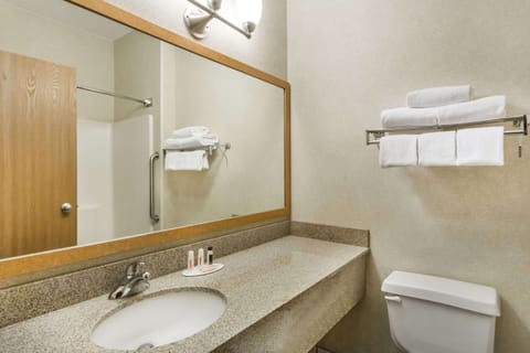 Studio Suite, 1 King Bed, Non Smoking | Bathroom | Combined shower/tub, free toiletries, hair dryer, towels