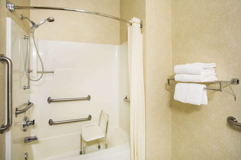 Combined shower/tub, free toiletries, hair dryer, towels