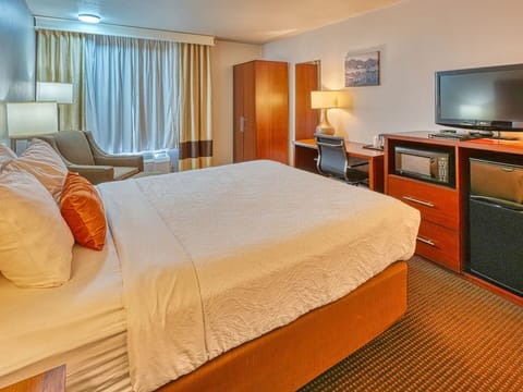 Standard Single Room | In-room safe, laptop workspace, blackout drapes, soundproofing