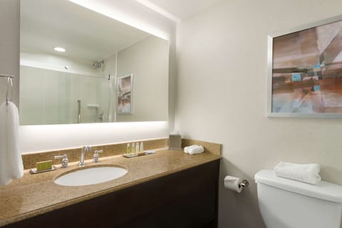 Suite, 1 King Bed, Non Smoking | Bathroom | Combined shower/tub, free toiletries, hair dryer, towels