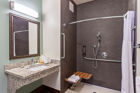 Suite, 1 Bedroom, Accessible, Kitchen (Mobility, Roll-In Shower) | Bathroom | Hair dryer, towels, soap, shampoo