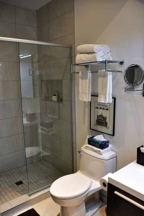 Deluxe Room | Bathroom | Shower, free toiletries, hair dryer, bathrobes