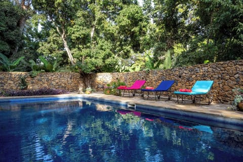 Outdoor pool, sun loungers