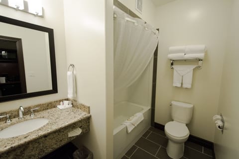 Combined shower/tub, free toiletries, hair dryer, towels