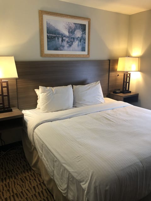 Suite, 1 King Bed, Accessible, Non Smoking | 1 bedroom, hypo-allergenic bedding, in-room safe, desk