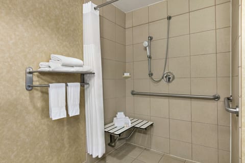 Studio, Accessible, Non Smoking | Bathroom shower