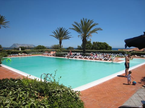 Seasonal outdoor pool, pool umbrellas, sun loungers