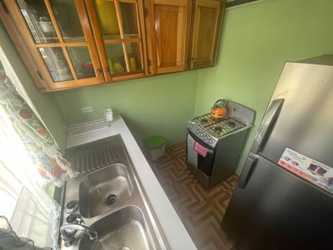 Standard Apartment, 1 King Bed, Kitchenette | Private kitchen | Fridge, microwave, electric kettle, cookware/dishes/utensils