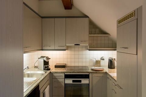 City Apartment, City View | Private kitchen | Fridge, oven, stovetop, dishwasher