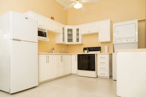 Luxury Apartment, 2 Bedrooms, City View, Executive Level | Private kitchen | Full-size fridge, microwave, oven, stovetop