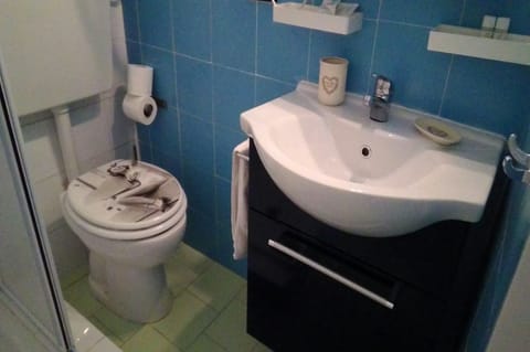 Double Room | Bathroom | Shower, free toiletries, hair dryer, towels