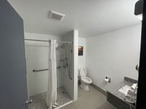 Room, 1 King Bed, Accessible, Non Smoking | Bathroom | Hair dryer, towels