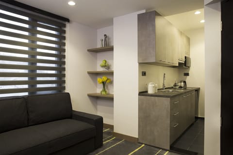 Studio Suite | Living area | Flat-screen TV