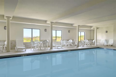 Indoor pool, sun loungers