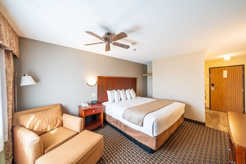 Standard Room, 1 King Bed | Living area | 27-inch TV with cable channels