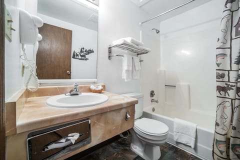 Combined shower/tub, hair dryer, towels