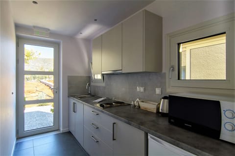 Luxury Studio Suite, 2 Bedrooms | Private kitchen | Stovetop, coffee/tea maker, electric kettle, cookware/dishes/utensils