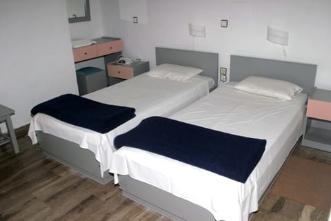 Twin Room | Desk, soundproofing, cribs/infant beds, free WiFi