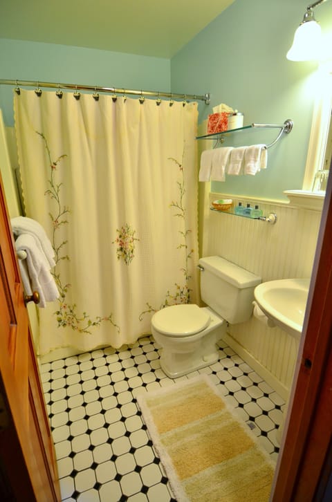 Combined shower/tub, free toiletries, hair dryer, towels