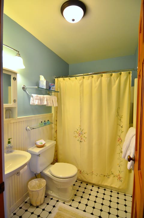 Combined shower/tub, free toiletries, hair dryer, towels